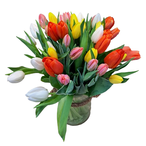 Bouquet de Tulipes
